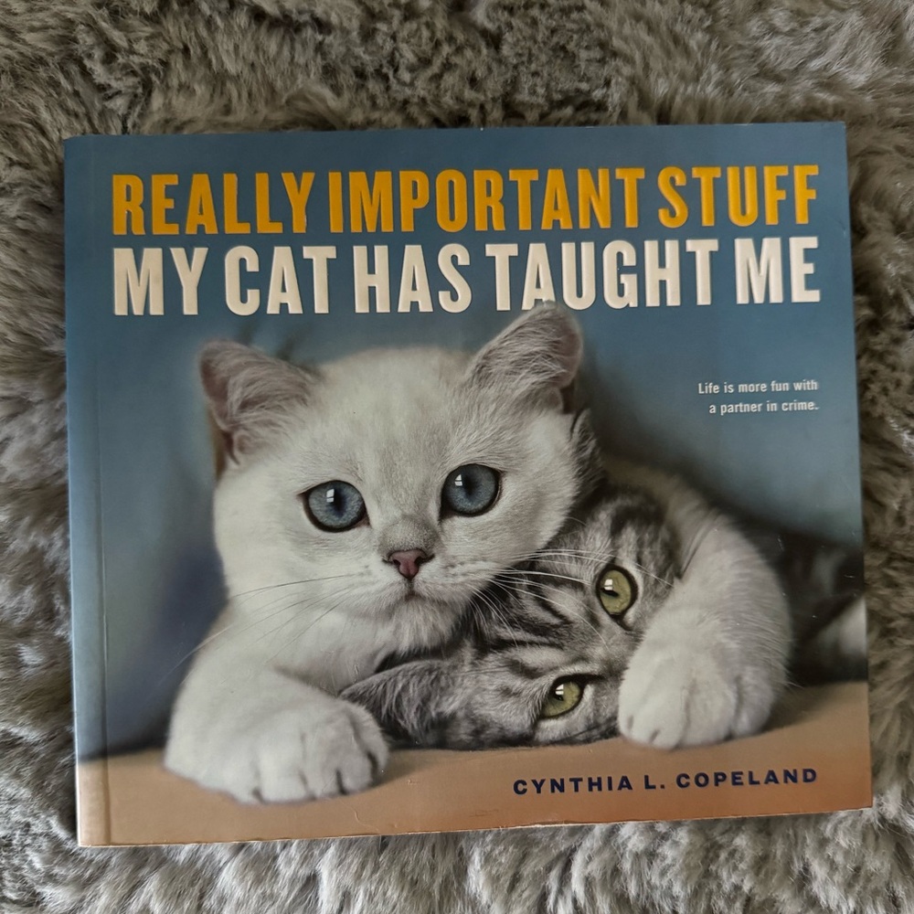 Really Important Stuff My cat Has Taught Me